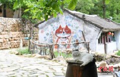 （走进中国乡村）猫咪“村民”唤醒河北空心村